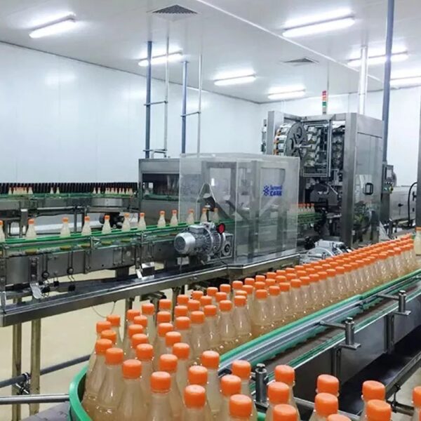 Sunswell - Hot filling machine aloe vera juice production line - Image 5