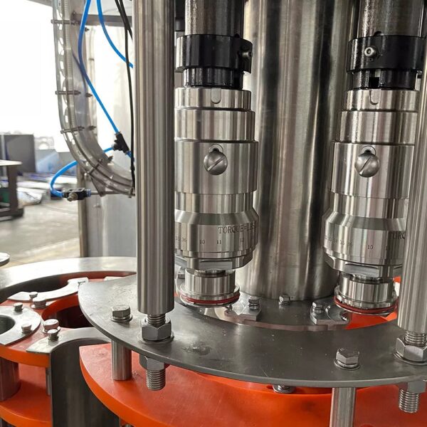 Sunswell - Hot filling machine aloe vera juice production line - Image 3